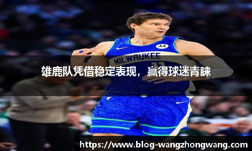 王中王资料大全