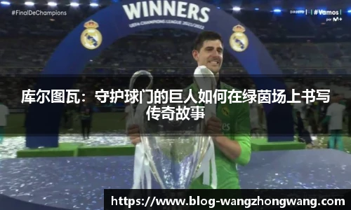 王中王资料大全