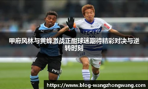 王中王资料大全